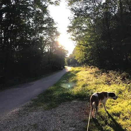 Double Alsacienne 3*