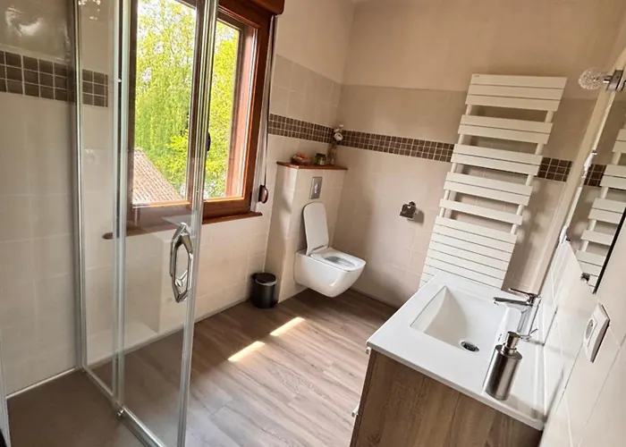 Double Alsacienne Guest house Scherwiller