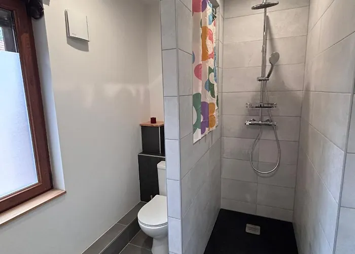 Guest house Double Alsacienne 3*